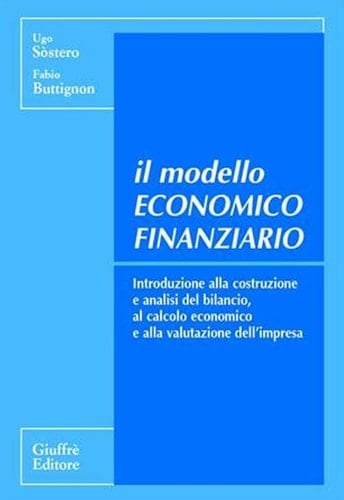 Il modello economico finanziario. Introduzione alla costruzione e analisi del bilancio, al calcolo economico e alla valutazione dell'impresa