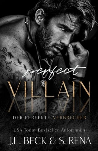 Perfect Villain: Der Perfekter Verbrecher (German Edition)