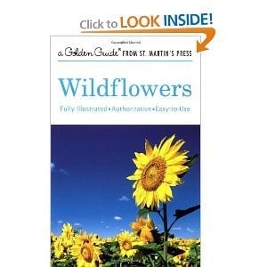 Wildflowers A Guide to Familiar American Flowers