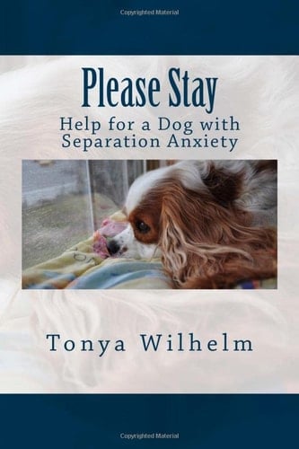 Please Stay Help for a Dog with Separation Anxiety