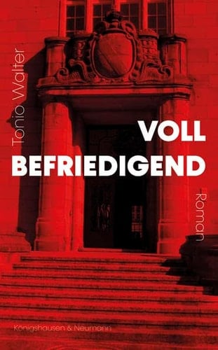 Vollbefriedigend Roman