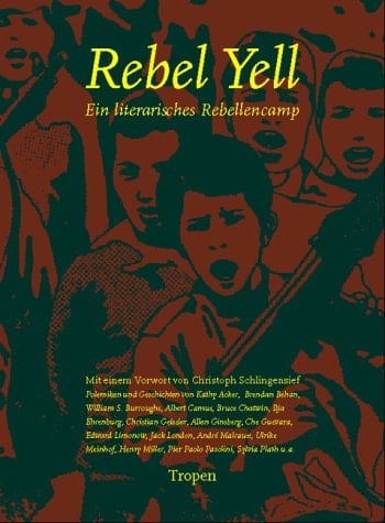 Rebell Yell ein literarisches Rebellencamp