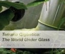 Terraria Gigantica: the World Under Glass