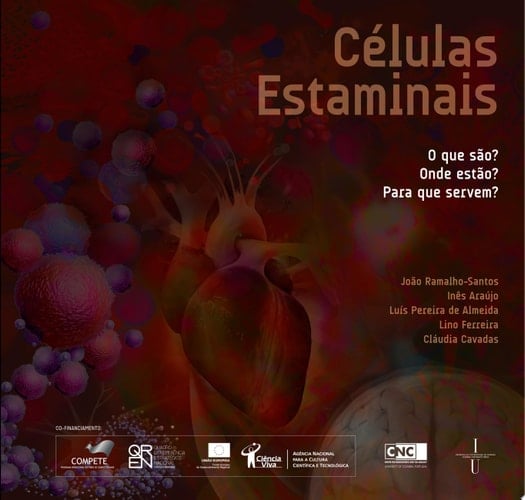 Células estaminais: o que são? Onde estão? Para que servem?