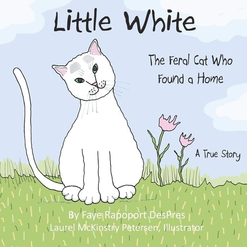Little White The Feral Cat Who Found a Home