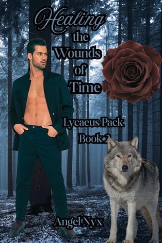 Healing the Woulds of Time: Lycaeus Pack Book 2