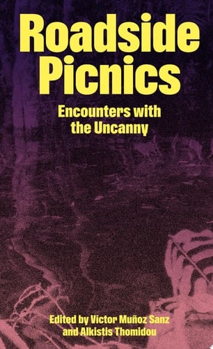 Roadside Picnics. Encounters with the uncanny