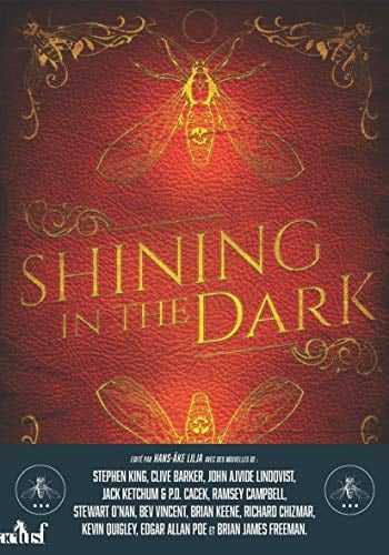 Shining in the Dark Fêter les vingt ans de Lilja's Library