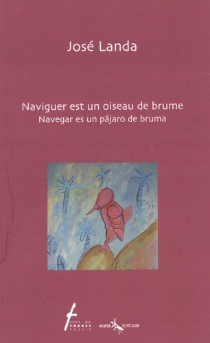 Navigar es un pájaro de bruma