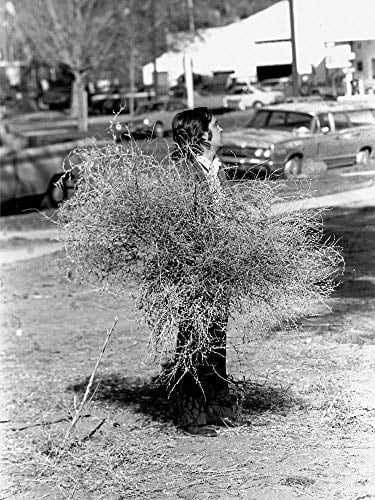 Gianni Pettena 1966-2021. Ediz. italiana e inglese