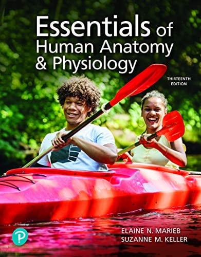 Essentials of Human Anatomy & Physiology