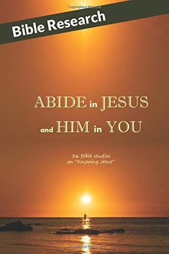 ABIDE in JESUS and HIM in YOU: Bible Studies