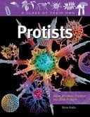 Protists Algae, Amoebas, Plankton, and Other Protists