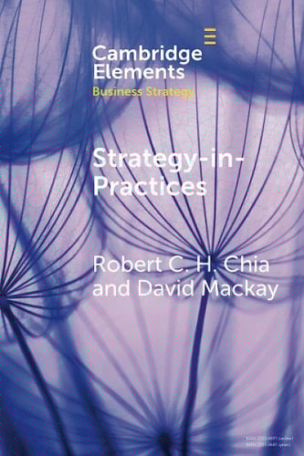 Strategy-In-Practices A Process-Philosophical Perspective on Strategy-Making