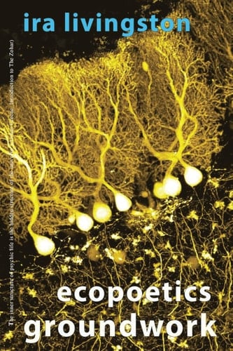 Ecopoetics Groundwork