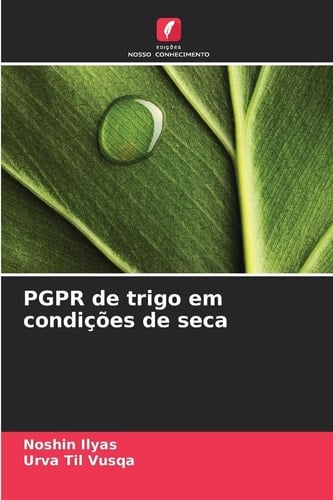PGPR de trigo em condições de seca