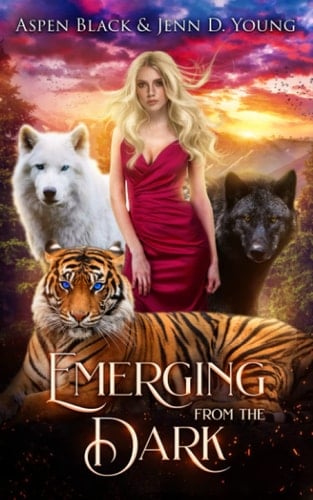 Emerging from the Dark