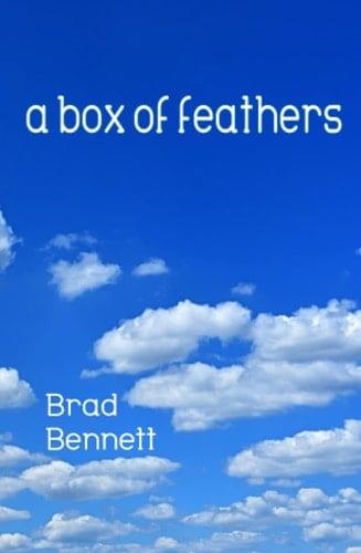 A Box of Feathers Haiku by Brad Bennett
