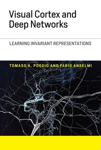 Visual Cortex and Deep Networks Learning Invariant Representations