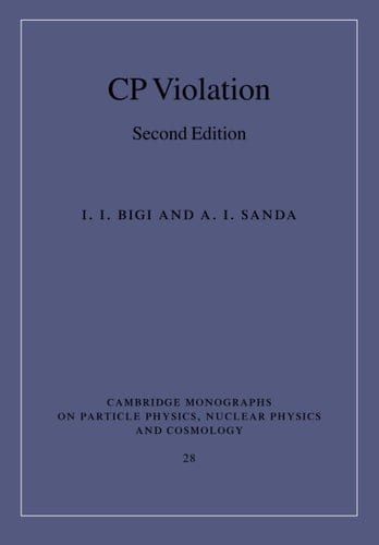 CP Violation