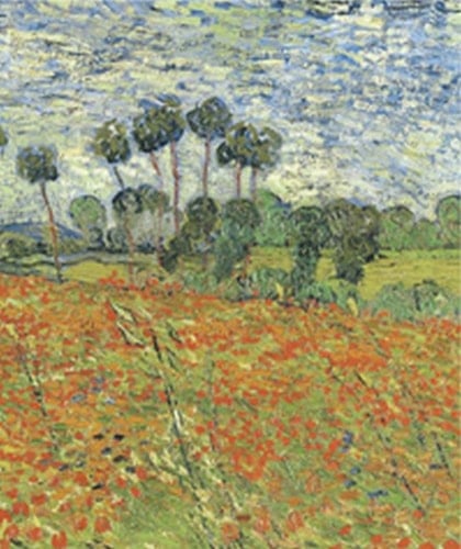 Raven Biology of Plants