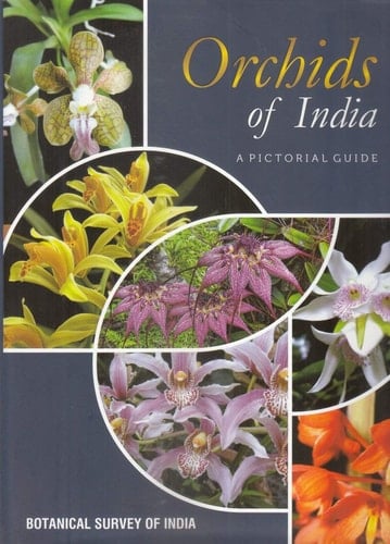Orchids of India A Pictorial Guide