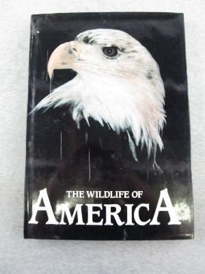 Wildlife of America