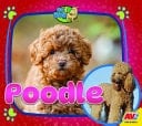 Poodle