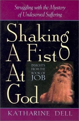 Shaking a Fist at God: Struggling With the Mystery of Undeserved Suffering