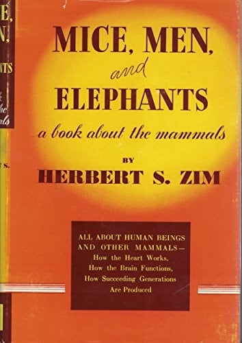 Mice, Men and Elephants