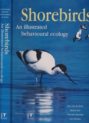 Shorebirds: An illustrated Behavioural Ecology