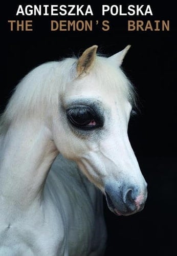 Agnieszka Polska the demon's brain