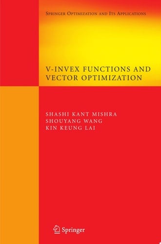 V-Invex Functions and Vector Optimization