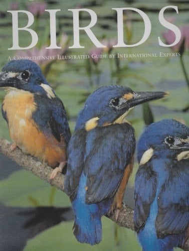 Encyclopedia of Birds