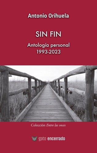 Sin fin - Antología personal 1993-2023: Antología personal 1993-2023
