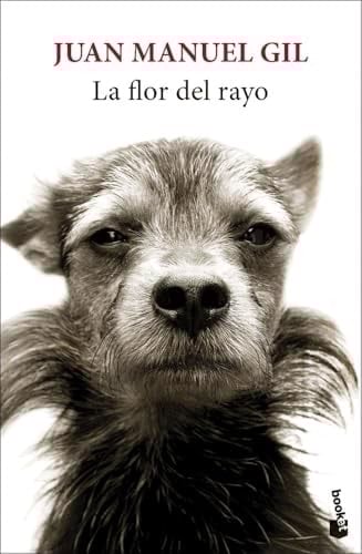 La flor del rayo