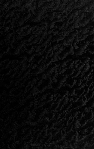 William Sharp — "Fiona Macleod," 1855-1905