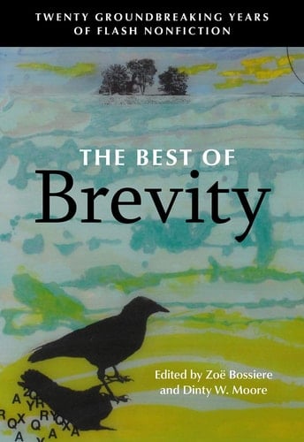 The Best of Brevity Twenty Groundbreaking Years of Flash Nonfiction