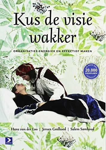 Kus de visie wakker organisaties energiek en effectief maken