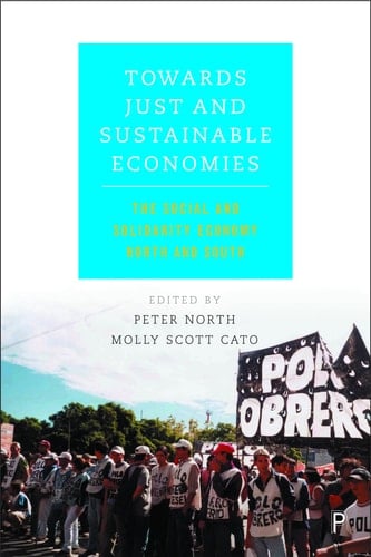Towards Just and Sustainable Economies: The Social and Solidarity Economy North and South
