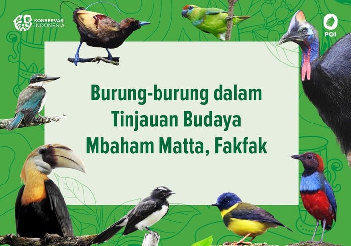 Burung-burung dalam Tinjauan Budaya Mbaham Matta, Fakfak