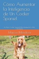 Cómo Aumentar la Inteligencia de Un Cocker Spaniel Un Perro Cocker Spaniel Más Inteligente Es Más Obediente