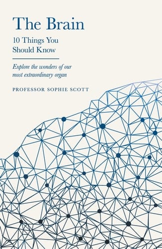 The Brain 10 Things You Should Know