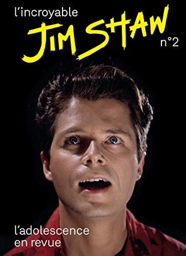 Jim Shaw, l'irrévérencieux