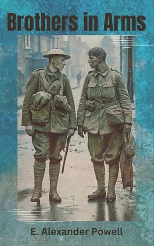 Brothers in Arms: 1917 WWI History