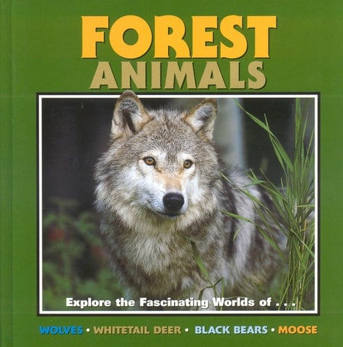 Forest Animals Explore the Fascinating Worlds Of...