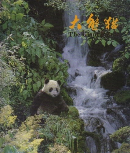 Giant Panda