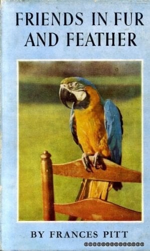 Verheiratet e. Wörterbuch für Verheiratete