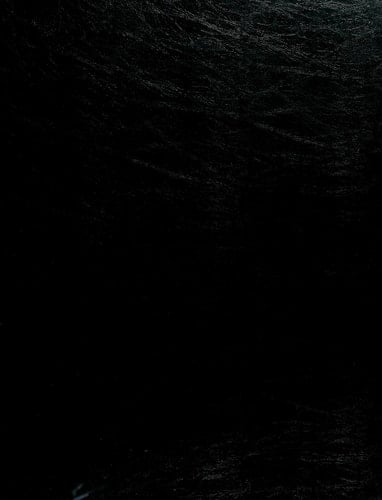 Milkweed Butterflies Their Cladistics and Biology