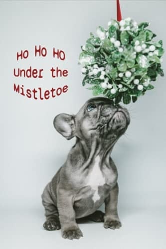 Under the Mistletoe: HO HO HO To - do Planner